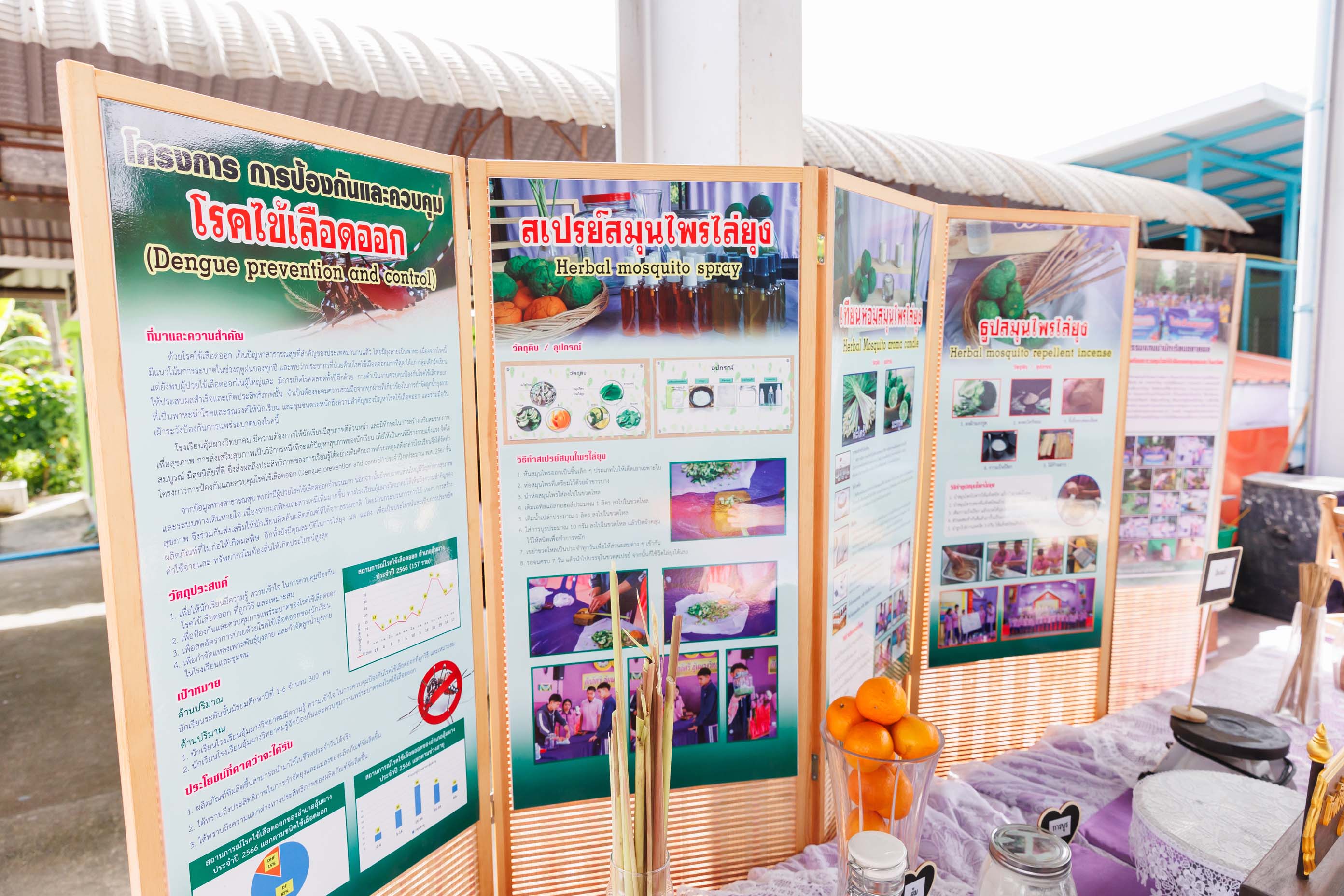 ตลาดนัดความรู้ สู้ภัยไข้เลือดออก Zero Dengue.8 0